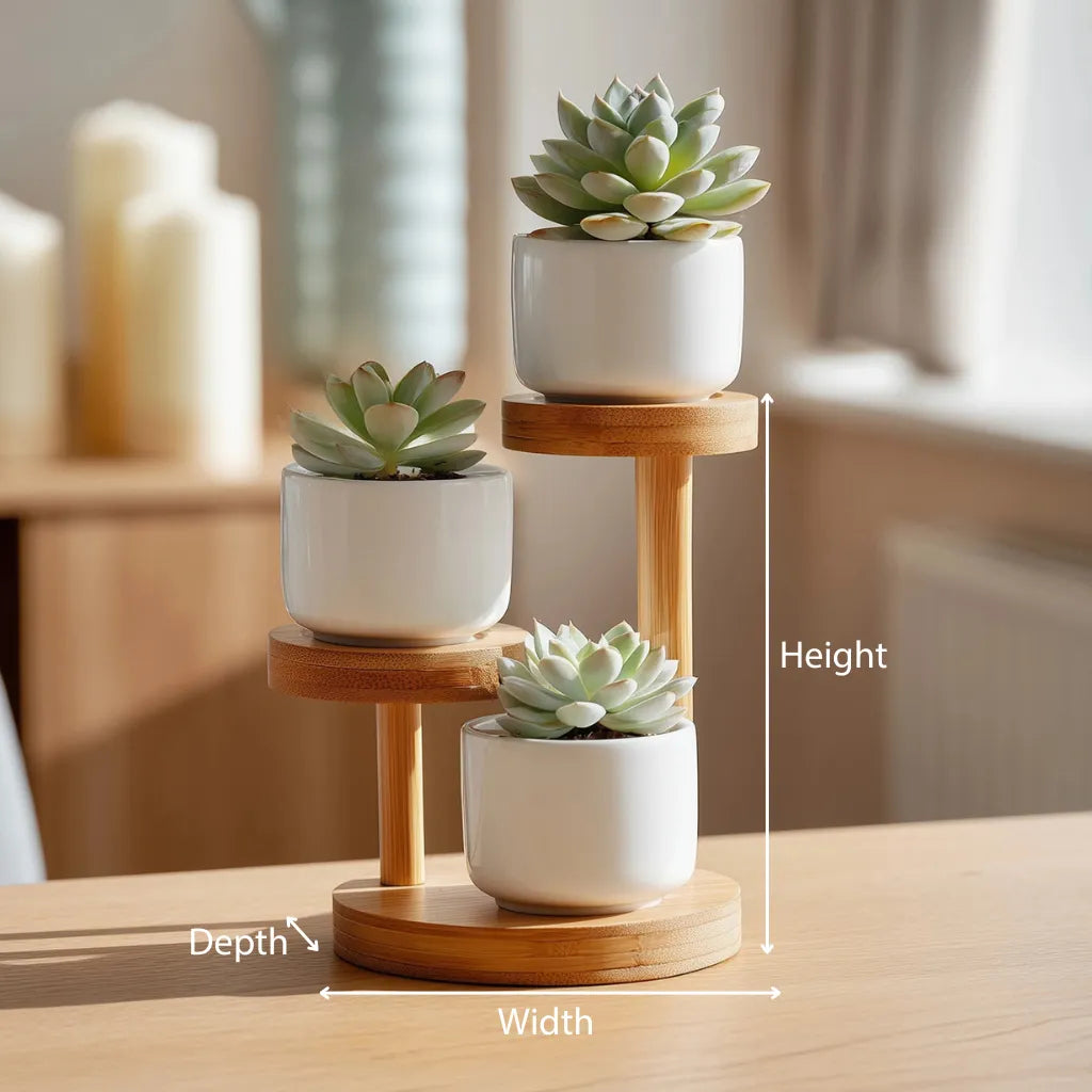 Wooden single tier hanging shelf with braided rope dimensions showing height width and depth