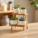 Tiered wooden desktop display stand for small decor on table with plants