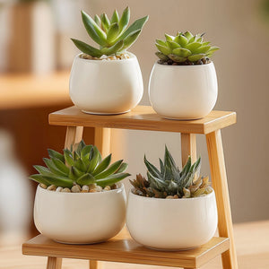 Tiered wooden desktop display stand for small decor angled view highlighting structure