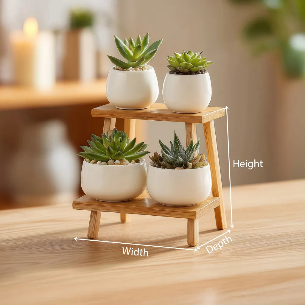 Tiered wooden desktop display stand dimensions showing height width and depth