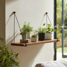 Suspended wooden wall shelf with rope displaying plants near window