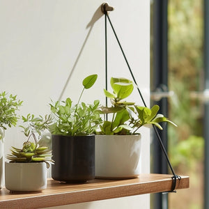 Suspended wooden wall shelf with rope angled view highlighting rope support design