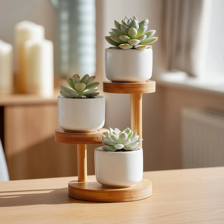 Wooden single tier hanging shelf with braided rope displaying small plants on tabletop