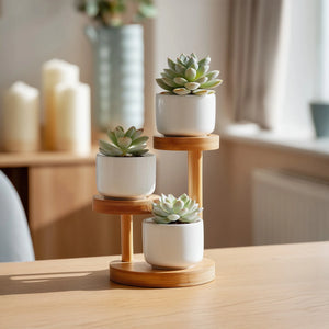 Wooden single tier hanging shelf with braided rope