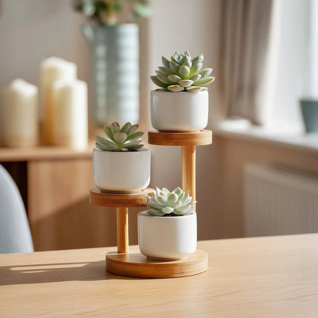 Wooden single tier hanging shelf with braided rope