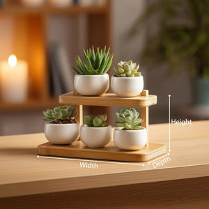 Tiered wooden tabletop display organizer dimensions showing height width and depth